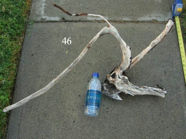 DSCN3297.JPG