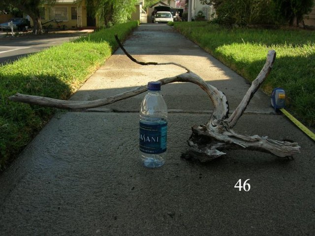 DSCN3298.JPG