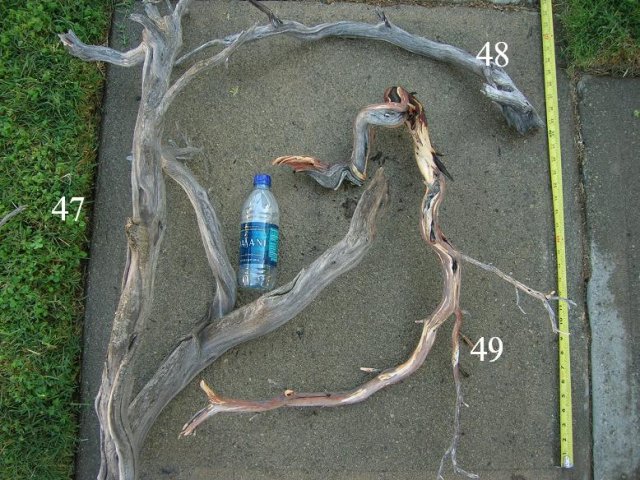DSCN3299.JPG