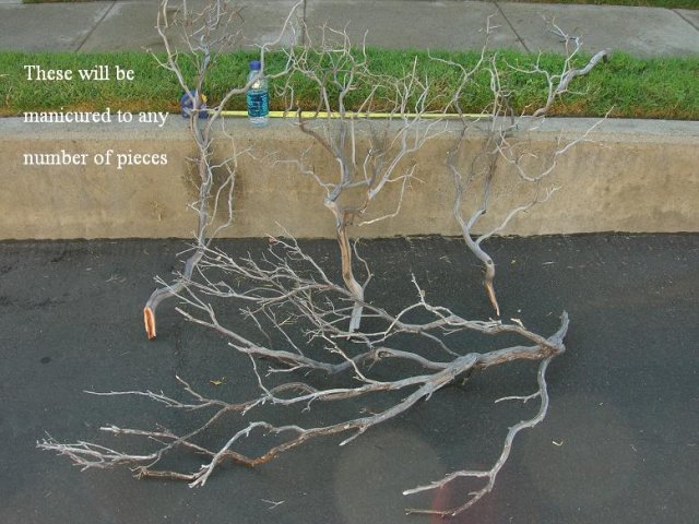 DSCN3304.JPG