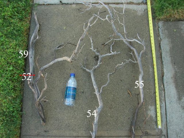 DSCN3303.JPG