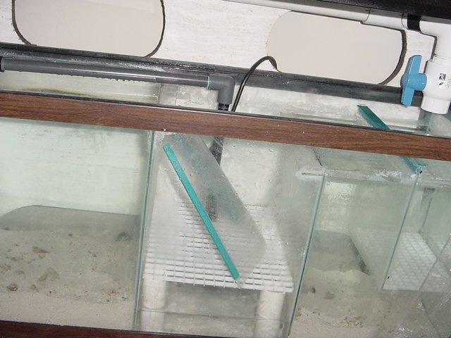 DSC03953.JPG