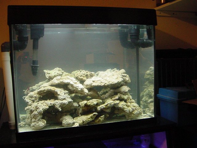 DSC03973.JPG