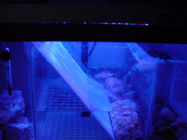 DSC03977.JPG DSC03977.JPG