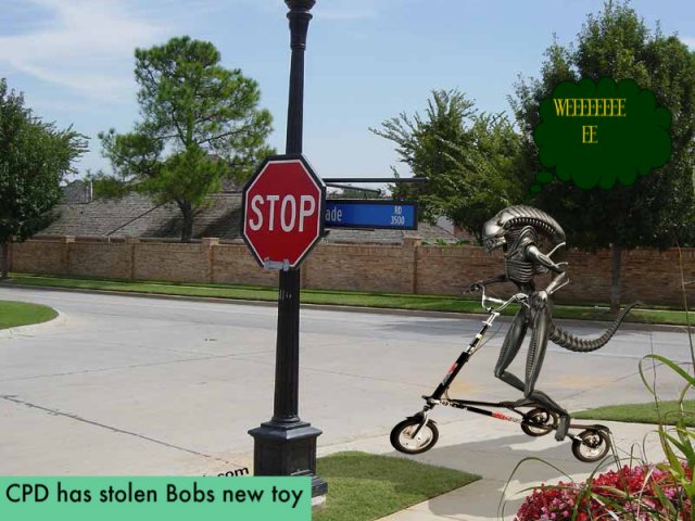 untitled-1.jpg