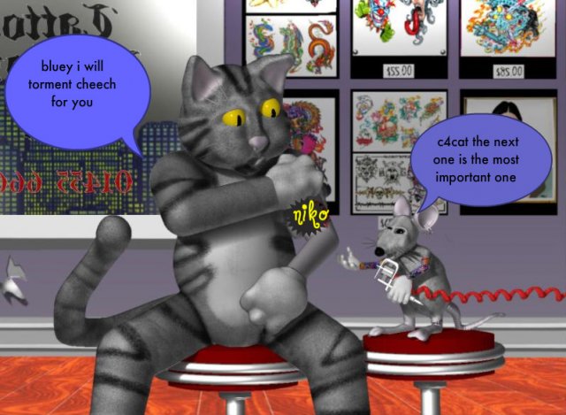 cattnadrat-1.jpg