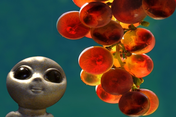 Alien Spawn.jpg