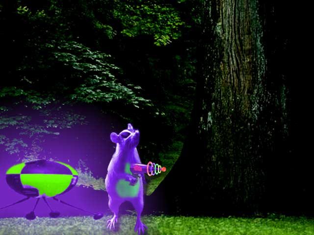 Purple Rat.jpg