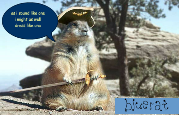 Pirate_squirrel_1-2.jpg