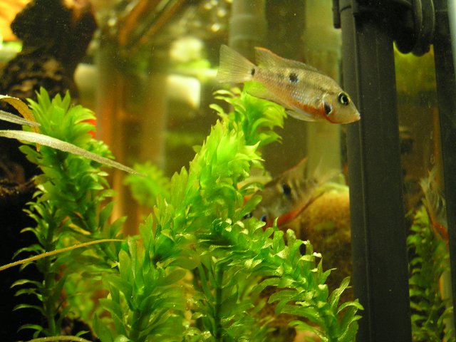 P1010137.JPG