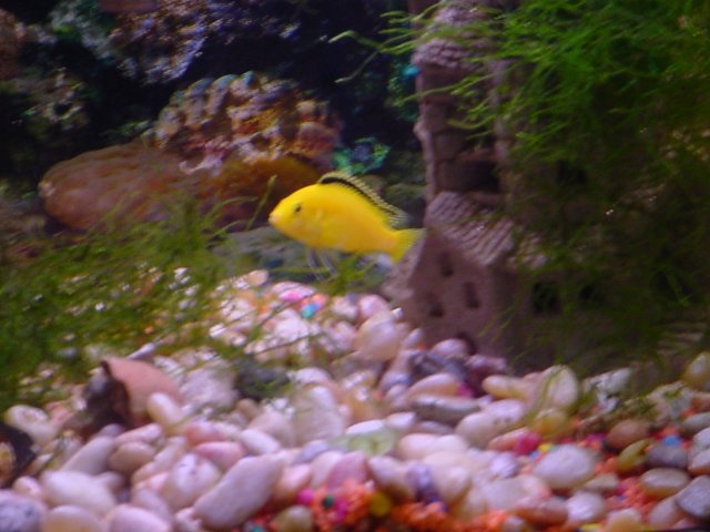 DSC00021.JPG