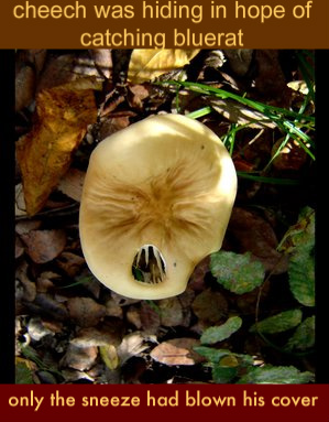 Screaming_Shroom_by_GeodeLady-1.jpg