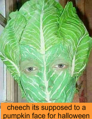 funny-pictures-the-lettuce-dork--1.jpg