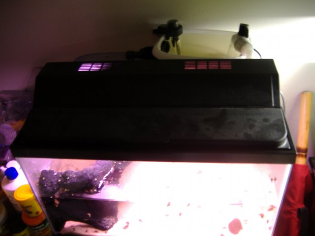 DSCF3150.JPG