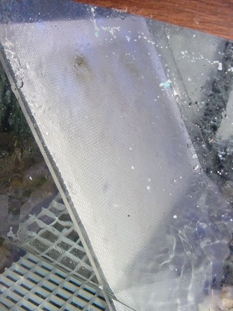 scrubber-1.jpg