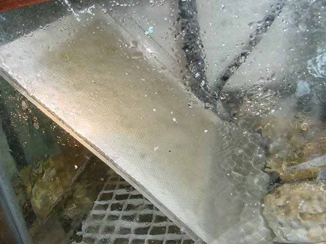 scrubber-2.jpg