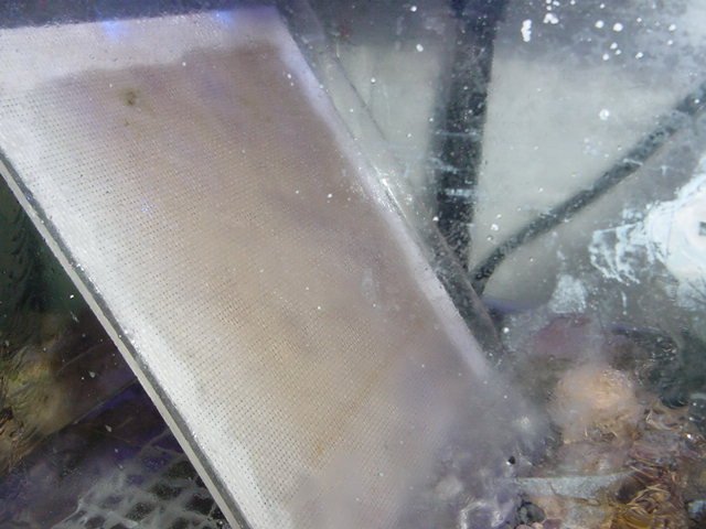 scrubber-3.jpg