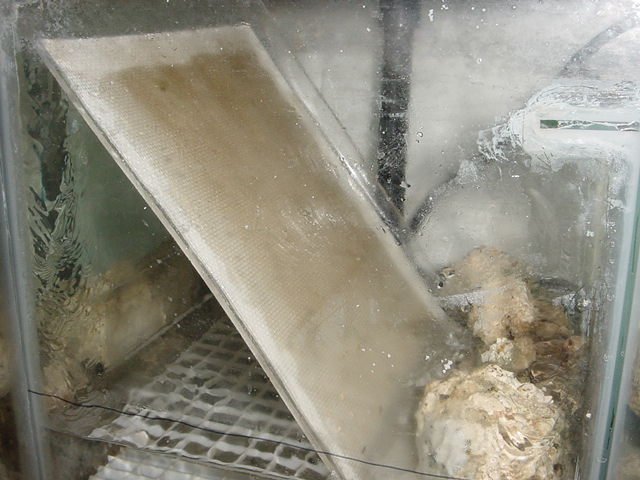 scrubber-4.jpg