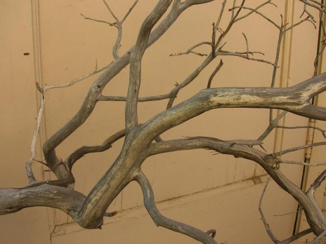 DSCN3309.JPG