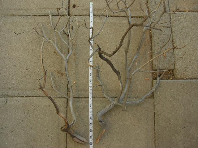 DSCN3310.JPG