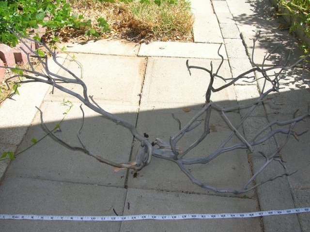 DSCN3311.JPG