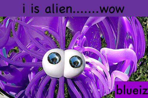 2421432476_09fb3cc536-1.jpg