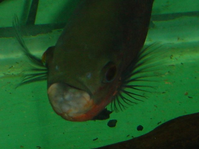 DSC00024.JPG