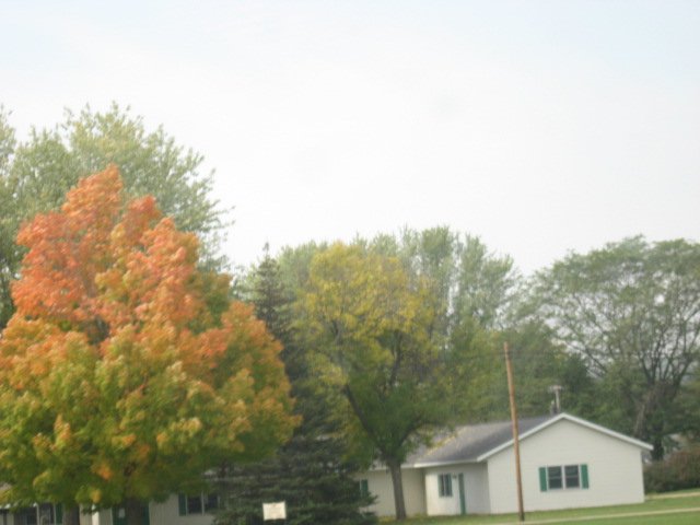 Picture 064.jpg