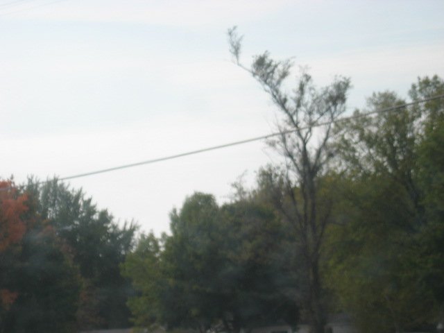 Picture 065.jpg