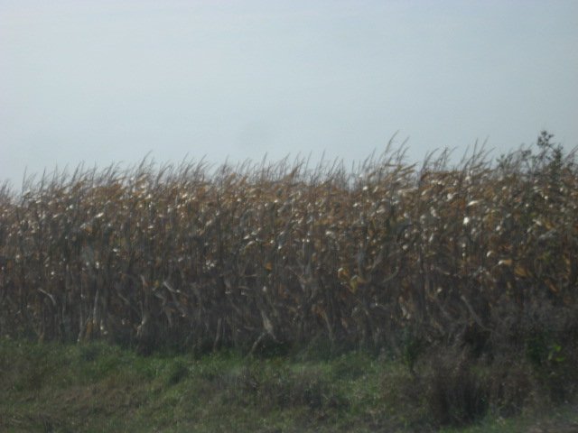Picture 071.jpg