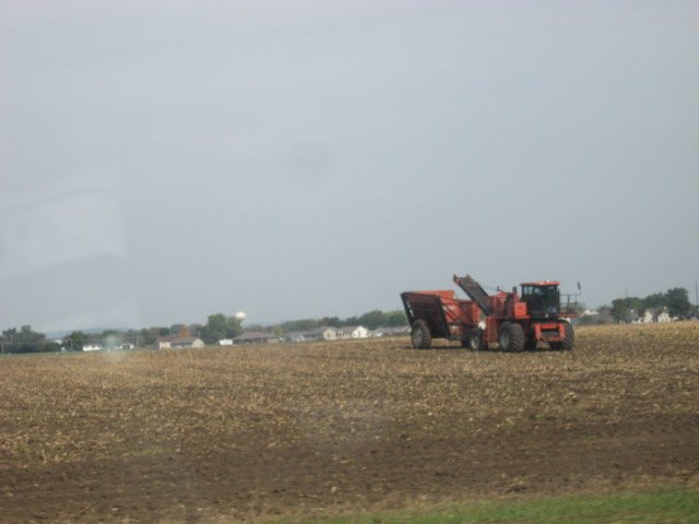 Picture 074.jpg