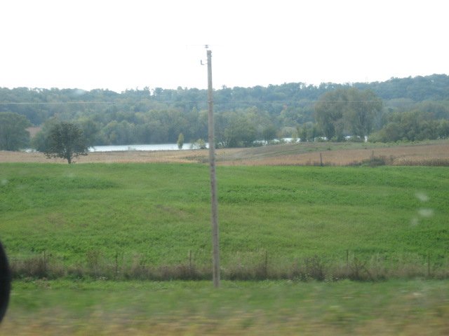 Picture 081.jpg
