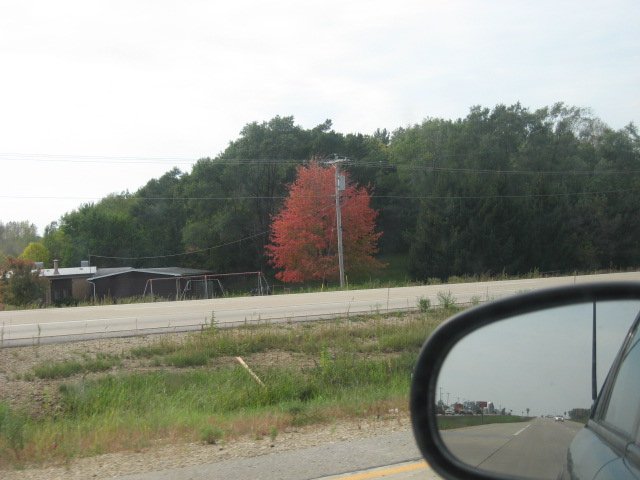 Picture 084.jpg
