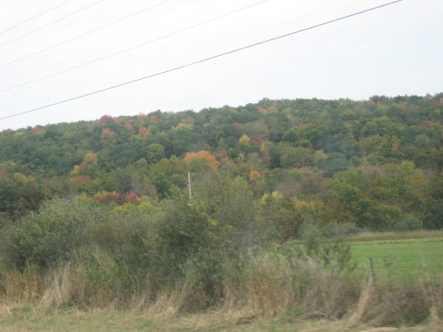 Picture 087.jpg