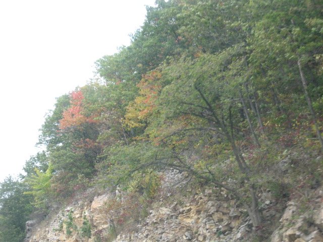 Picture 090.jpg