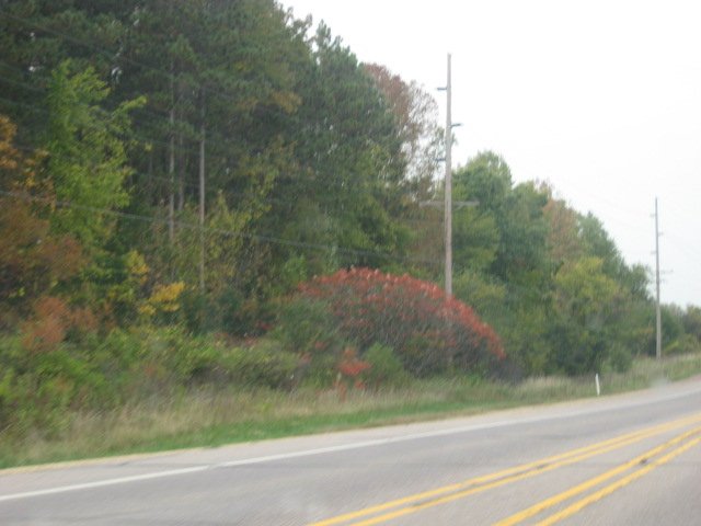 Picture 095.jpg