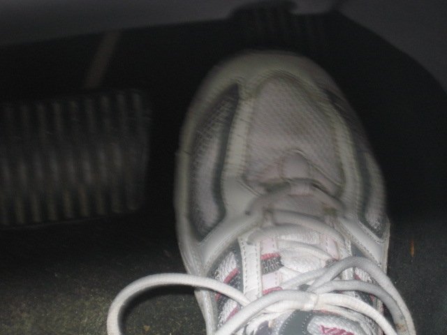Picture 073.jpg