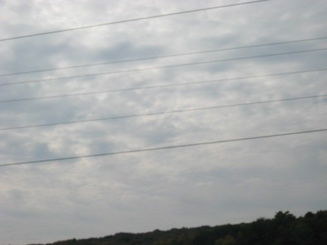 Picture 096.jpg