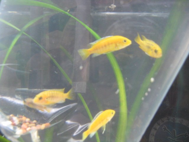 Picture 098.jpg