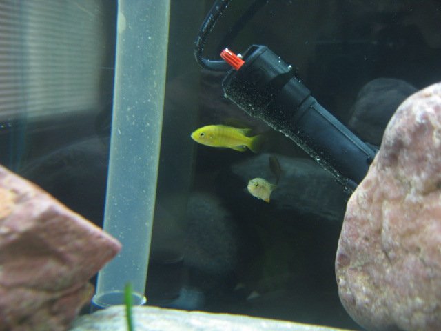Picture 107.jpg