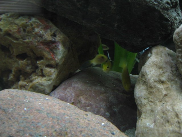 Picture 108.jpg