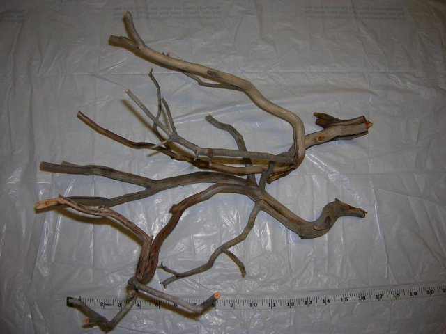 DSCN3312.JPG