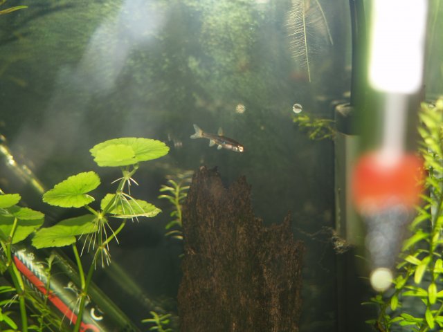 P1011800.JPG