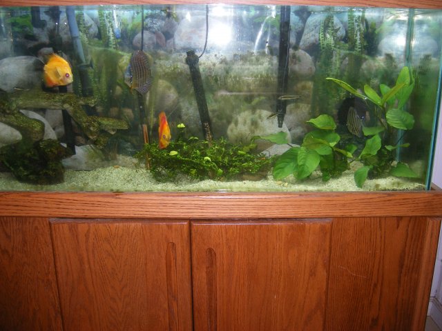 DSCF2793.JPG