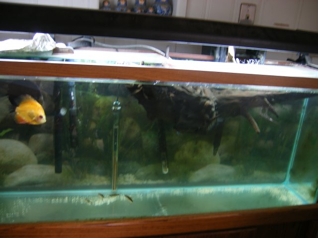 DSCF2815.JPG