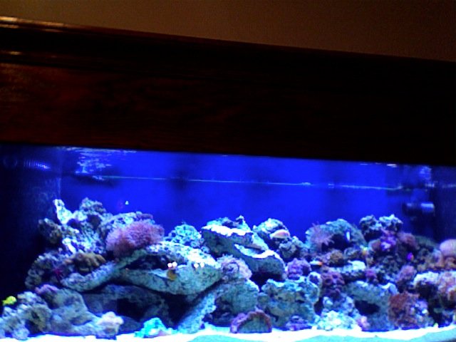 Photo 19.jpg