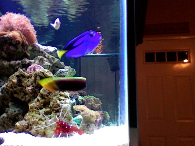 Photo 25.jpg
