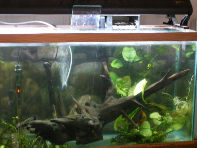 DSCF2826.JPG