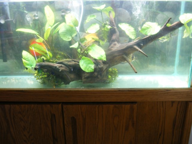 DSCF2830.JPG