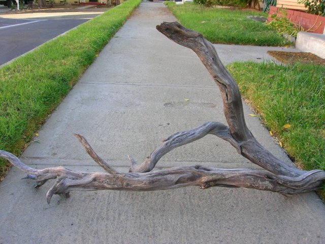 DSCN3337.JPG